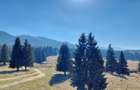 APARTAMENT DE VACANTA  - POIANA BRASOV - 6