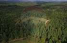 Teren extravilan parcelabil Călățele Pădure, zona Dealu Negru - 3