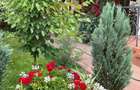 Saftica - vanzare vilă 5 camere complet mobilata, curte+gradina, DN1 - 52