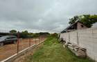 Teren intravilan Corbu - 6