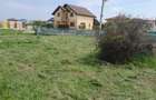 678 mp. str. N.Stoica de Hateg nr.96 - 6