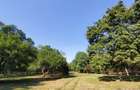 2 camere Parcul Verdi Floreasca  - 4
