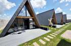 AFACERE LA CHEIE | Complex Turistic Premium A-Frame + Piscină | Snagov - 4