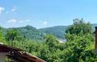 Casa  cu parau la limita proprietatii- zona submontana - 1