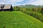 Teren Drumul Carului 3.8 ha
