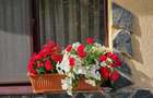 Vand casa 3 camere ARIUSD - 13
