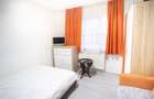 Apartament cu 2 camere decomandat, Nufarul - 4
