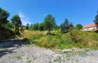 Teren Intravilan in zona Trei Ape, 6889 Mp., 14,5 Euro Mp., Brebu Nou - 3