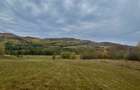 Teren la pădure, panoramic dealuri si păduri, curent si asfalt - 6