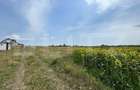 Parcele de 770 mp , drum privat 7m , zona rezidențială Moara - 1
