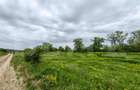 Teren intravilan 6010 mp, zona Sebes - 1