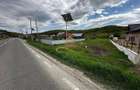 Teren intravilan de vanzare 2900 mp Luncani Bacau - 2