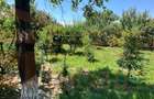 Casă 3 camere de vânzare în Viile Noi – Anda, Constanța | Teren 700 mp - 19