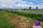 Oportunitate Teren Intravilan 9000mp-Turnisor - 3