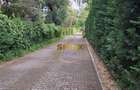Baneasa, first rental, 3 room furnished apartment, beautiful 800 sqm garden - 8
