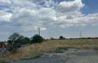 (308) Teren in zona industriala Albota, langa Pitesti / Direct proprietar - 3