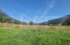 Teren Plaiul Foii, vedere spre muntii Bucegi si apa Barsa 1004 mp Intravilan - 5