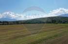 Teren intravilan de vânzare 1180 mp – Zărnești - 10