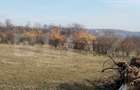 Teren intravilan 21€/mp  suprafața 3360 mp - 1