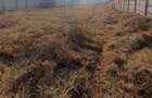 Teren intravilan 2600 mp | 2 deschideri | utilitati in zona | Micești - 1
