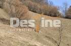 Teren 5000 mp, ideal cabana, pensiune,  in zona de interes  turistic  Rucar-Bran - 3
