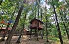 Casă de vacanță în pădure, 10 km de Pitești - Babana - 16