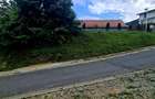 Teren intravilan de vanzare Saliste - 6