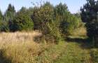 Teren Sacele zona de relaxare pretabil investitie - 3