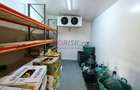 Vila + Afacere 15.000mp Clinceni - 9