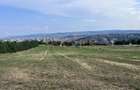 Oportunitate de investiție Teren intravilan, 3150 mp , Panoramic , Dambu Rotund - 2