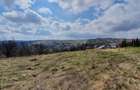 Teren intravilan | vanzare | 2745 mp | Feleacu - 5