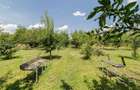Casă de vânzare Tâncăbești cu grădină, aproape de lac - 28