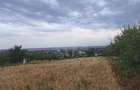 TEREN PAULESTI//10.000 MP - 10