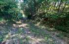 Teren constructii intravilan 3600mp Morilor - 9