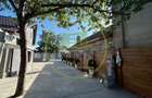 Casa plan parter, 600 mp, 200 mp utili, Romanesti - 9
