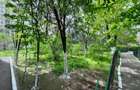 Apartament 2 camere Titan - 10