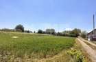 Teren Intravilan de Vânzare 25 Ari | Suceava/Tisauti  I 130.000Euro - 8