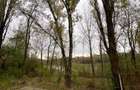 REC3000937 Bloc investitie zona Pipera - 4