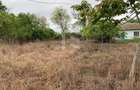 Teren intravilan 2562mp Loc 23 August | Ideal locuiță sau casă vacanță - 9