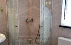 De inchiriat apartamet cu 1 camera Grigorescu - 9