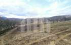 Teren intravilan | De vanzare | 12211 mp | Geogiu de Sus - 4