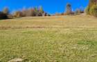 Teren extravilan in localitatea Bulz - 6