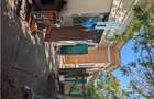 Parcul Carol casa 4 cam. 95 mp ,pod 98 mp teren 134 mp - 27