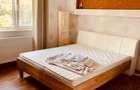 Apartament 2 camere Mall Vitan, stradal, CENTRALA,  PARCARE, mobilat modern - 3