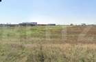Teren intravilan 3.000 mp avize si autorizație proiect finanțat Regio, zona Nord - 3