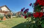 Casă cu teren 953 mp si jacuzzi – Șelimbăr, Sibiu zona Brana (2 fronturi) - 9