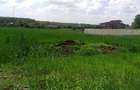 Excelent pentru Complex Rezidential- SNAGOV-VLADICEASCA- Apropiere lac. - 7