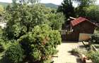 Casa la 7 km de Rm.Valcea, in com Bujoreni(Gura Vaii) - 5