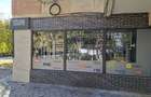 INCHIRIERE-SPATIU COMERCIAL-NICOLINA - 5