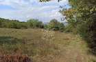 Teren  42,200 mp (4,22 hectare)-Parcelabil-investitie-Valea Jelnei - 5